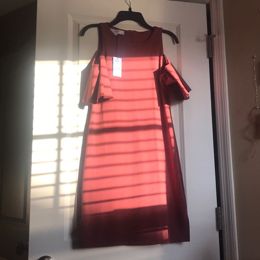 BNWT Salmon Business dress